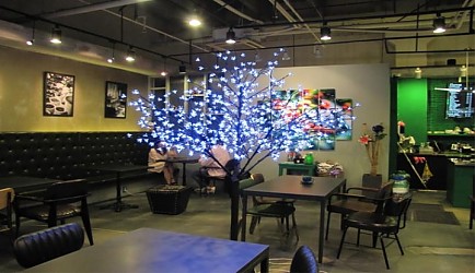 328269_mimg_1.jpg