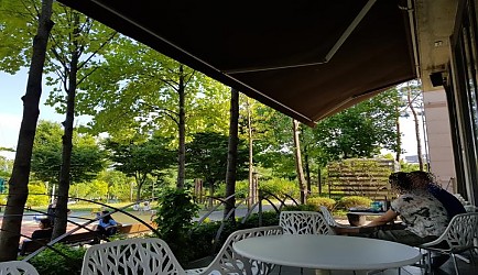 331152_mimg_1.jpg