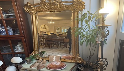 331810_mimg_1.jpg