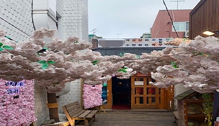 331838_mimg_1.jpg