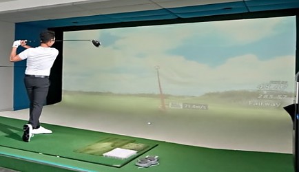 335431_mimg_1.jpg