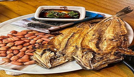 335802_mimg_1.jpg
