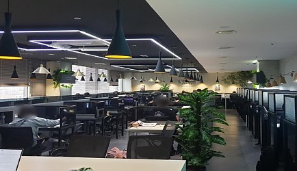 336994_mimg_1.jpg