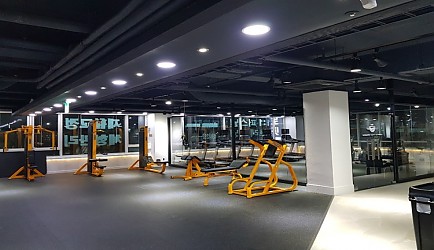 337417_mimg_1.jpg