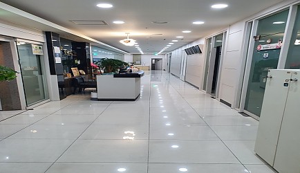 337695_mimg_1.jpg